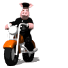 Avatar de l’utilisateur