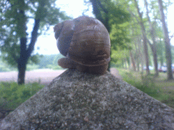 Avatar de l’utilisateur
