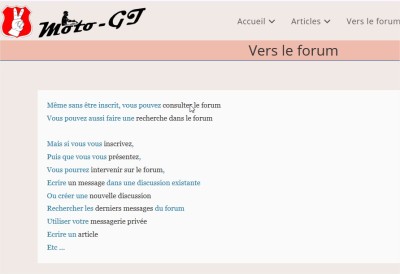 bug ligne consulter le forum.jpg