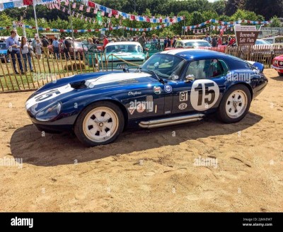 Cobra Daytona coupé..jpg
