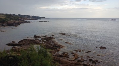 IMG-20260512-WA0006.jpg