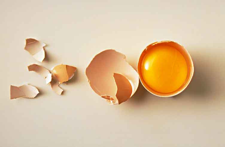 oeuf_jaune cru avec coquille.jpg