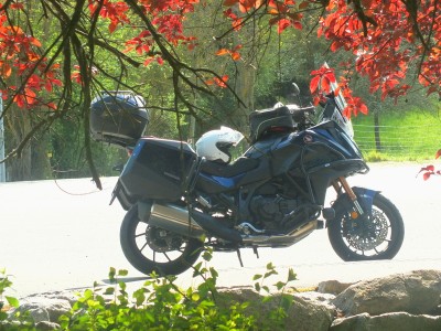 DSCF4523.JPGcopie1.jpg